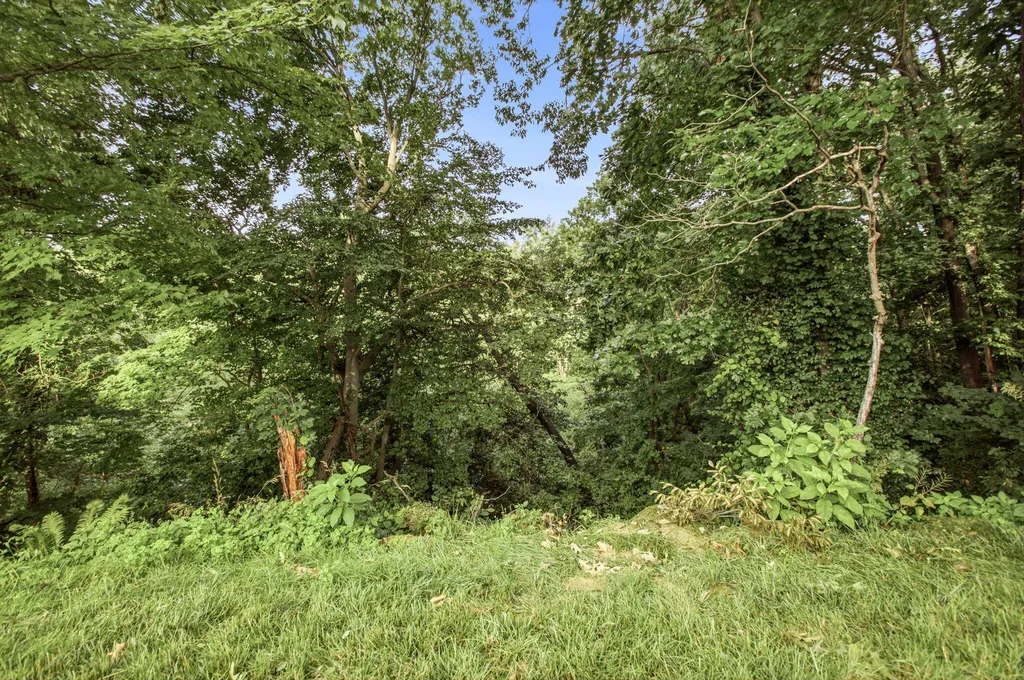 3790 Blenheim Road Lincoln Charter Township MI 49085