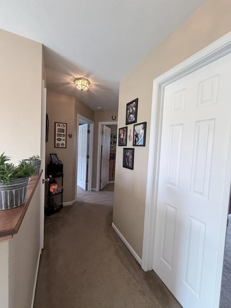 6585 Sinclair Road Pipestone Township MI 49111