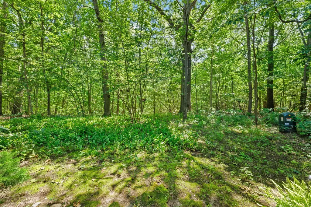 1501 W Water Street New Buffalo Township MI 49117