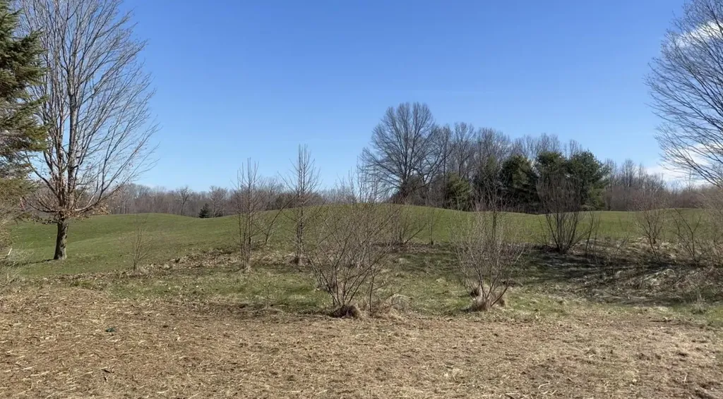 19529 Kluver Road New Buffalo Township MI 49117