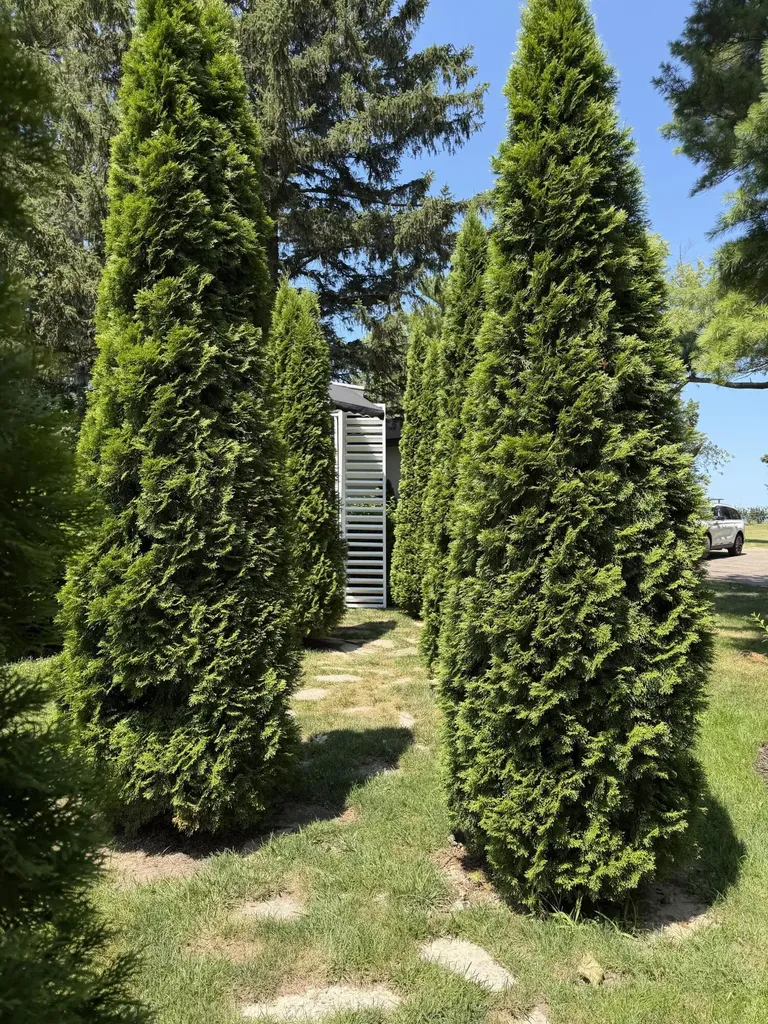 2390 Sycamore Path Shoreham Village MI 49085