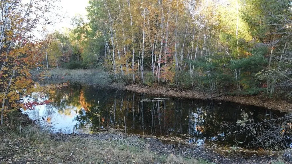 4116 Dutcher Road Gladwin City MI 48624