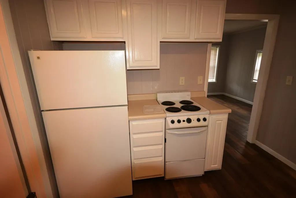 117 E North Street Albion City MI 49224