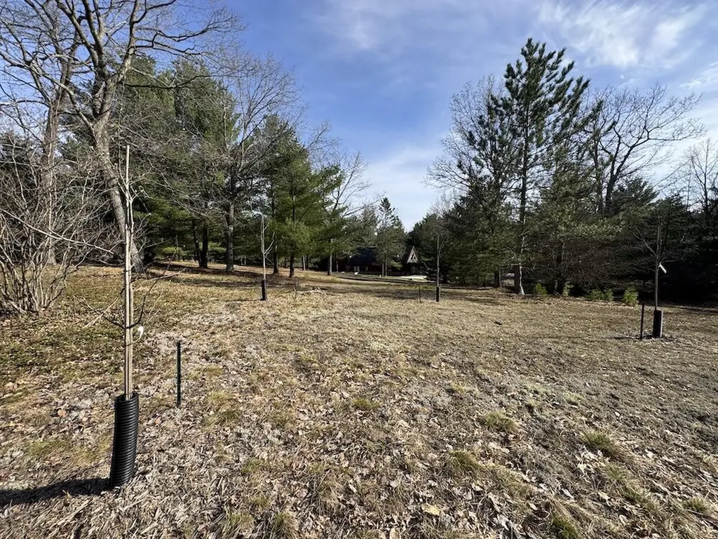7584 Railroad Grade Nester Township MI 48624