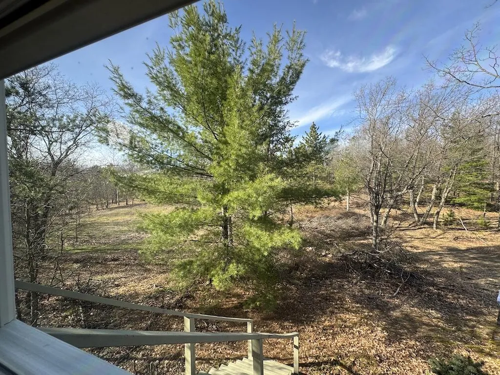 7584 Railroad Grade Nester Township MI 48624