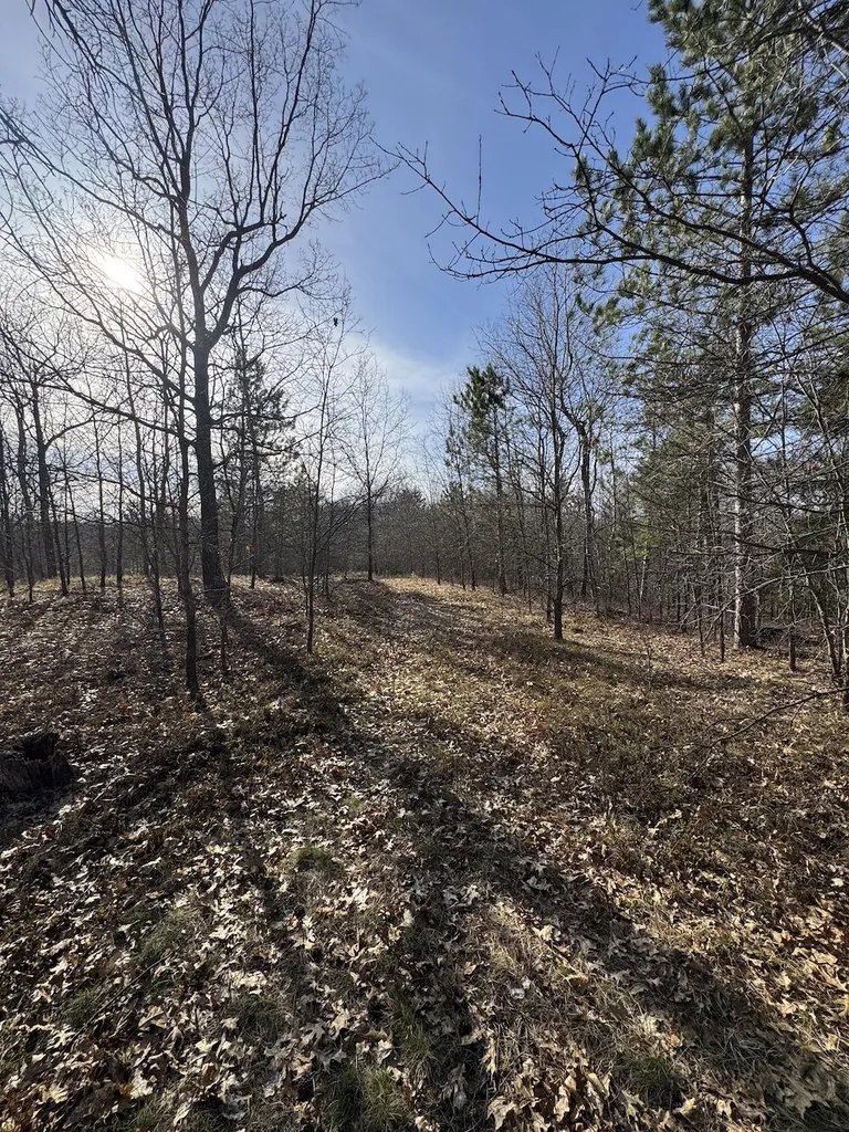 7584 Railroad Grade Nester Township MI 48624
