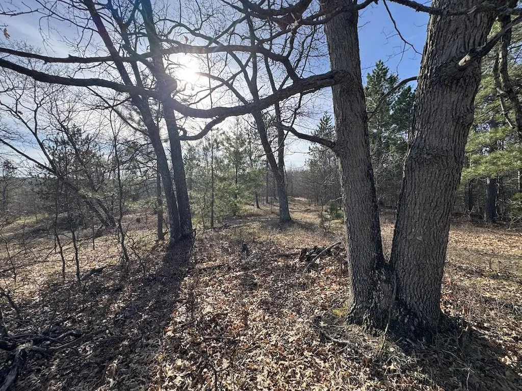 7584 Railroad Grade Nester Township MI 48624