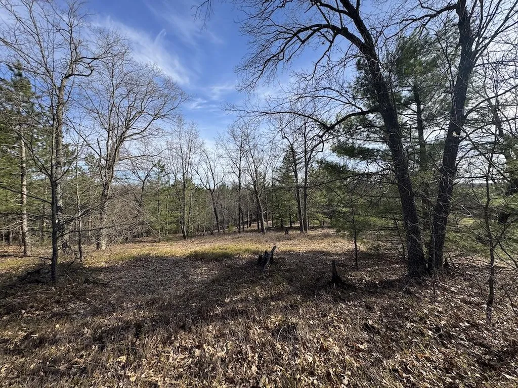 7584 Railroad Grade Nester Township MI 48624