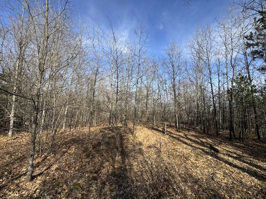 7584 Railroad Grade Nester Township MI 48624