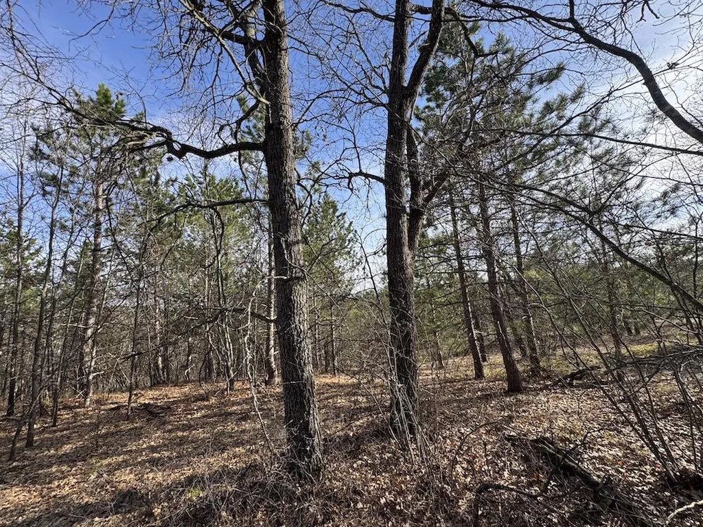 7584 Railroad Grade Nester Township MI 48624