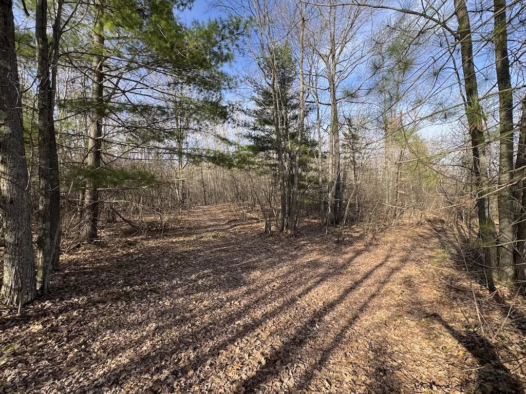 7584 Railroad Grade Nester Township MI 48624