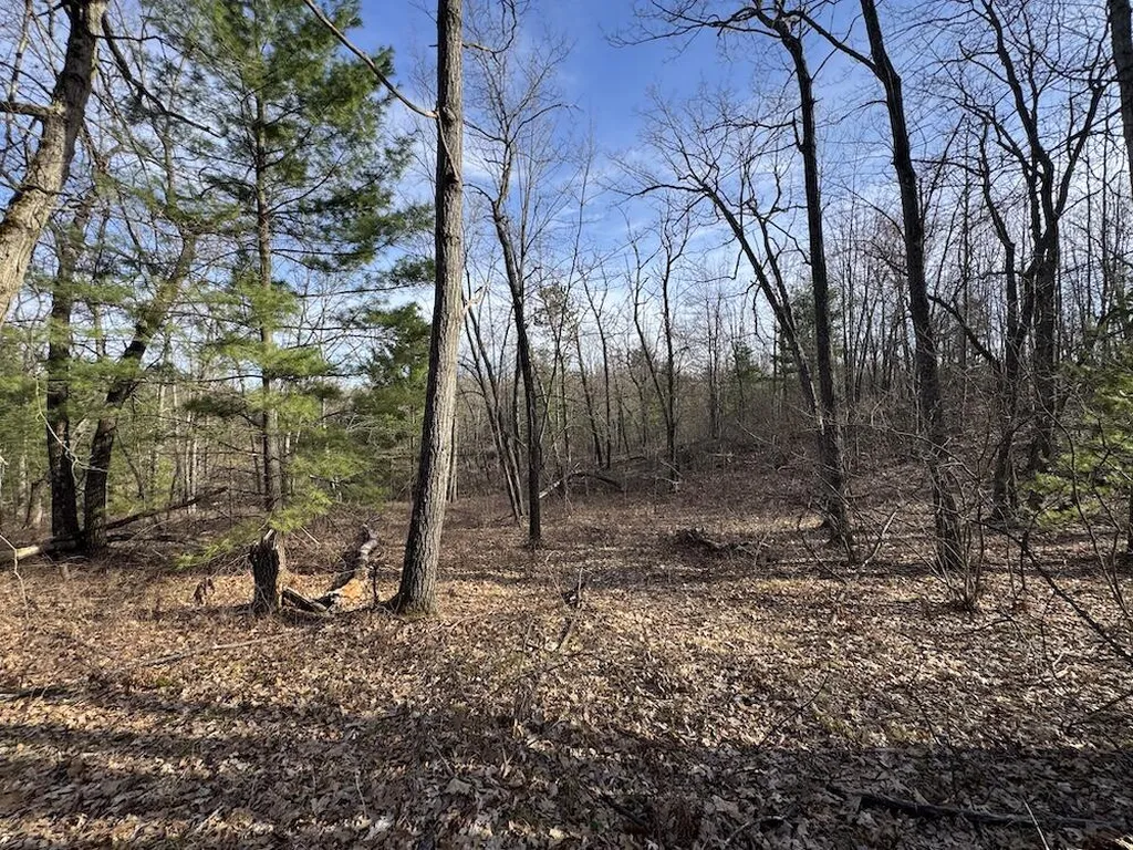 7584 Railroad Grade Nester Township MI 48624