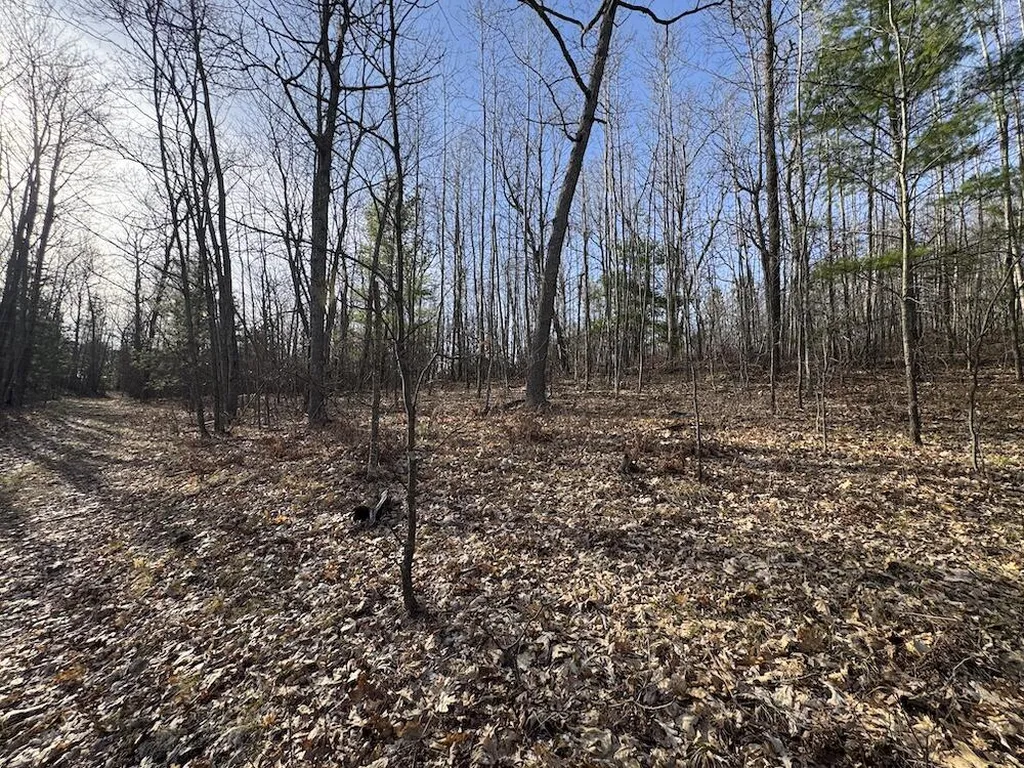 7584 Railroad Grade Nester Township MI 48624