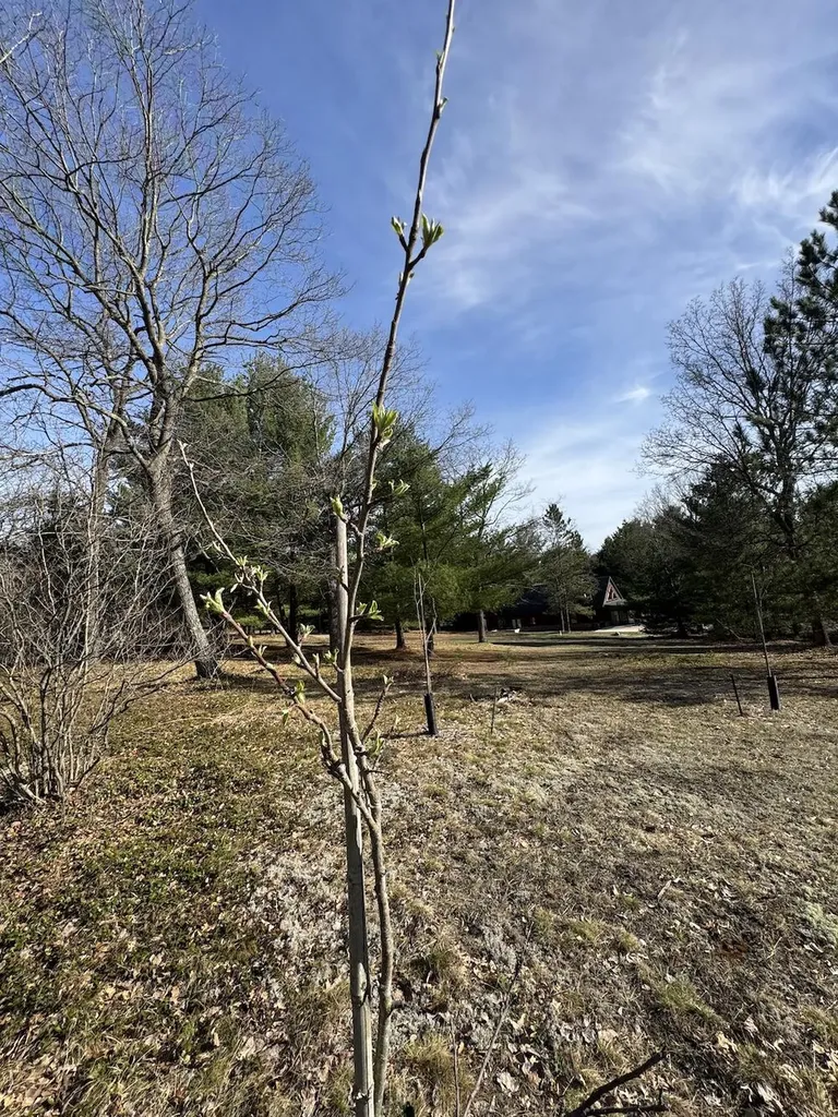7584 Railroad Grade Nester Township MI 48624