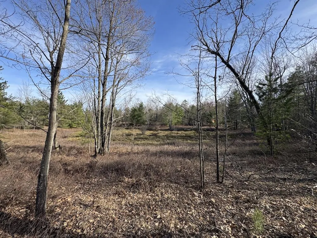 7584 Railroad Grade Nester Township MI 48624
