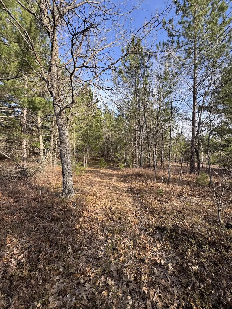 7584 Railroad Grade Nester Township MI 48624