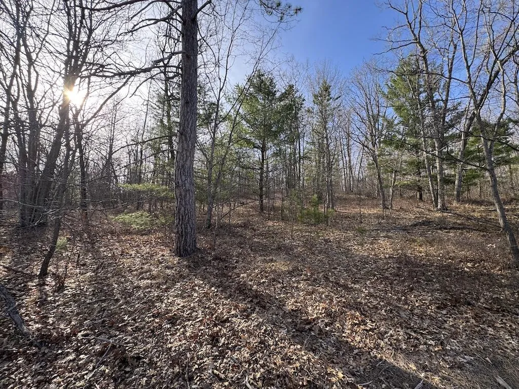7584 Railroad Grade Nester Township MI 48624