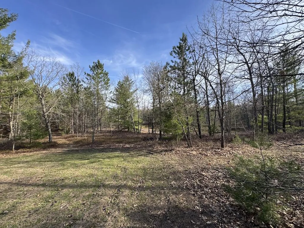 7584 Railroad Grade Nester Township MI 48624