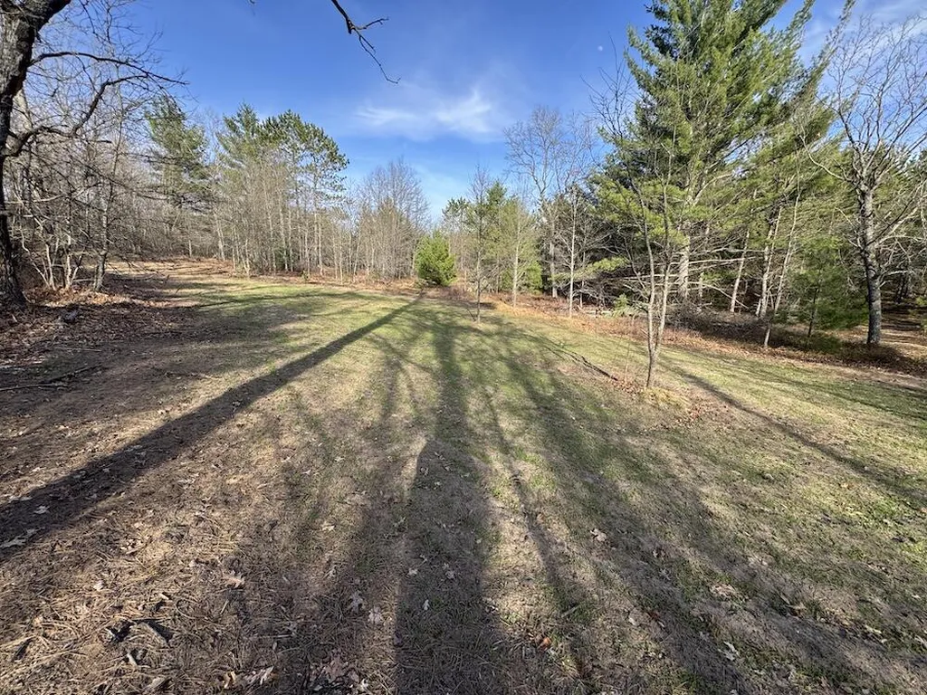 7584 Railroad Grade Nester Township MI 48624
