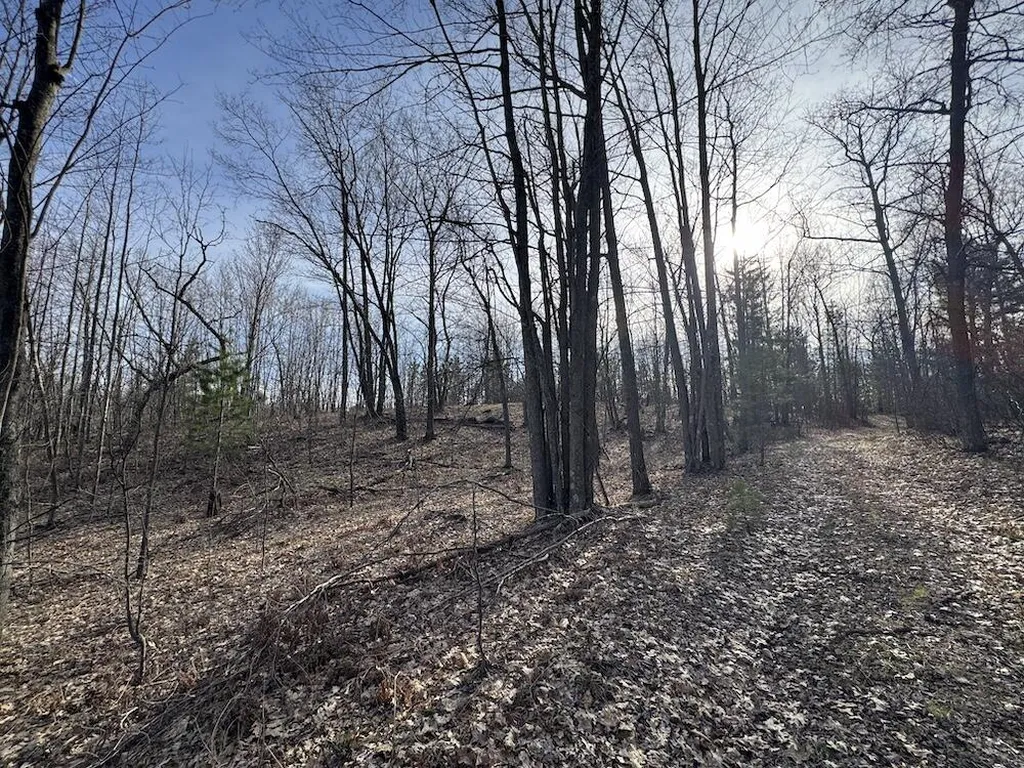 7584 Railroad Grade Nester Township MI 48624