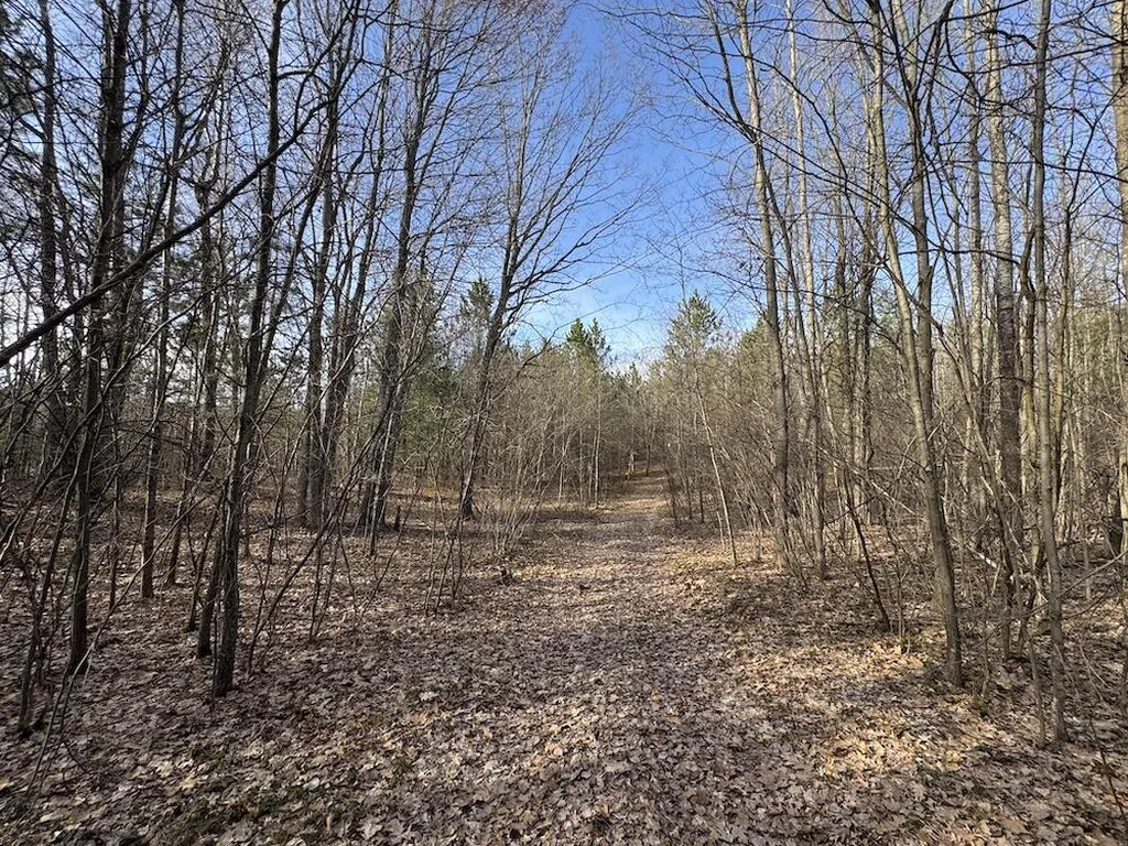 7584 Railroad Grade Nester Township MI 48624