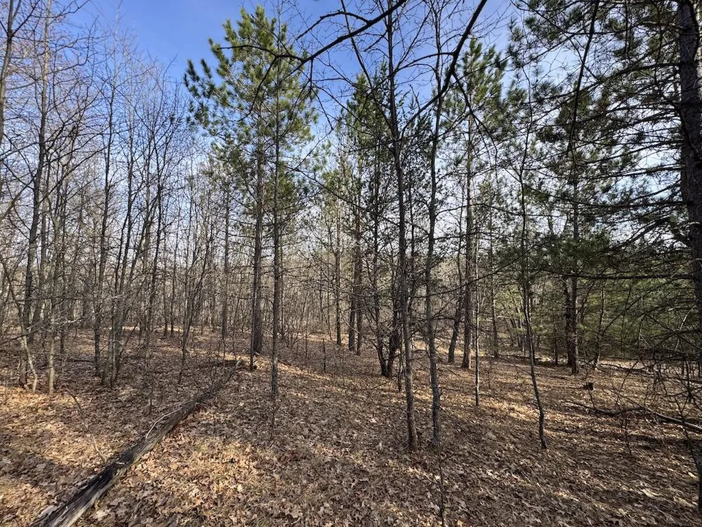 7584 Railroad Grade Nester Township MI 48624