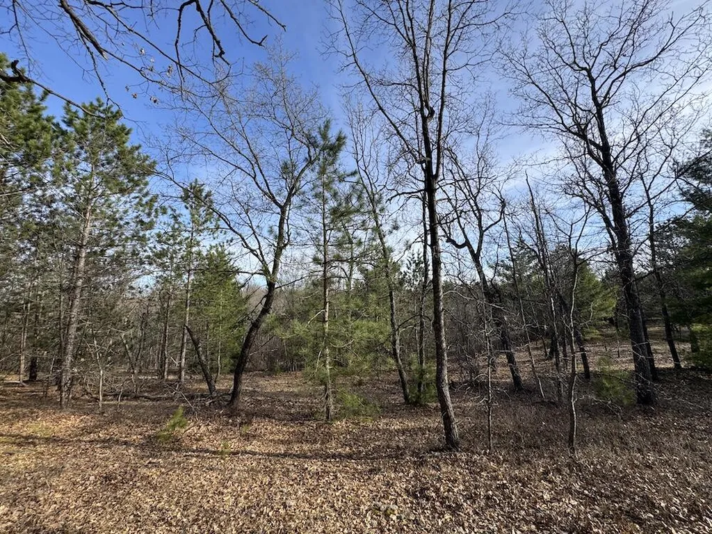 7584 Railroad Grade Nester Township MI 48624