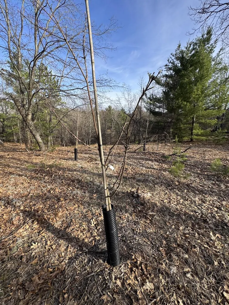 7584 Railroad Grade Nester Township MI 48624