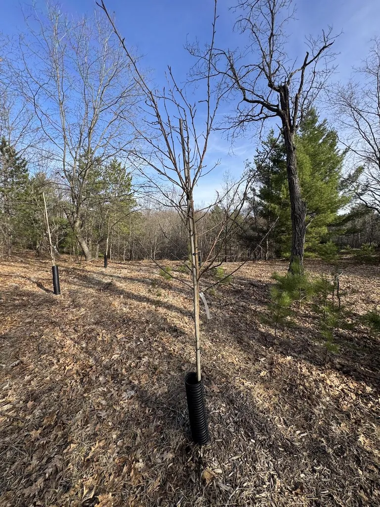 7584 Railroad Grade Nester Township MI 48624