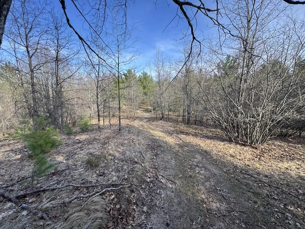 7584 Railroad Grade Nester Township MI 48624