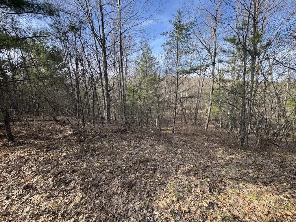 7584 Railroad Grade Nester Township MI 48624