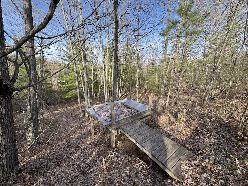 7584 Railroad Grade Nester Township MI 48624