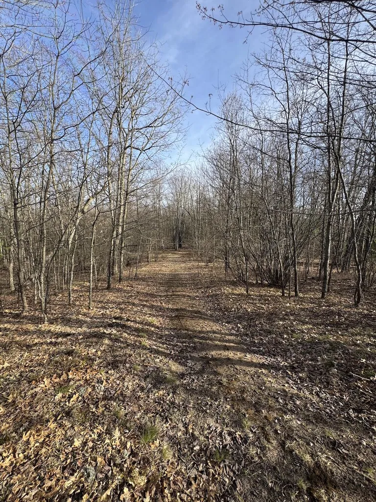 7584 Railroad Grade Nester Township MI 48624