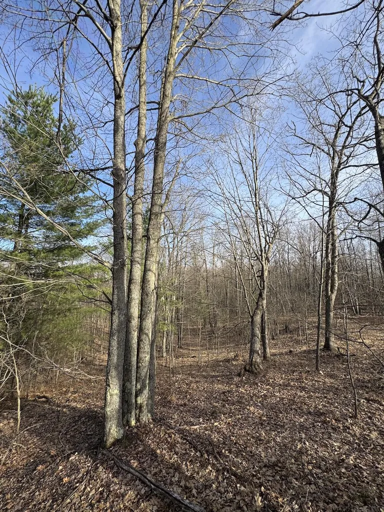 7584 Railroad Grade Nester Township MI 48624