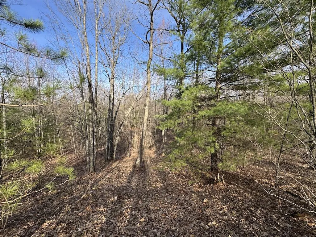 7584 Railroad Grade Nester Township MI 48624