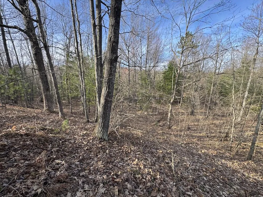 7584 Railroad Grade Nester Township MI 48624