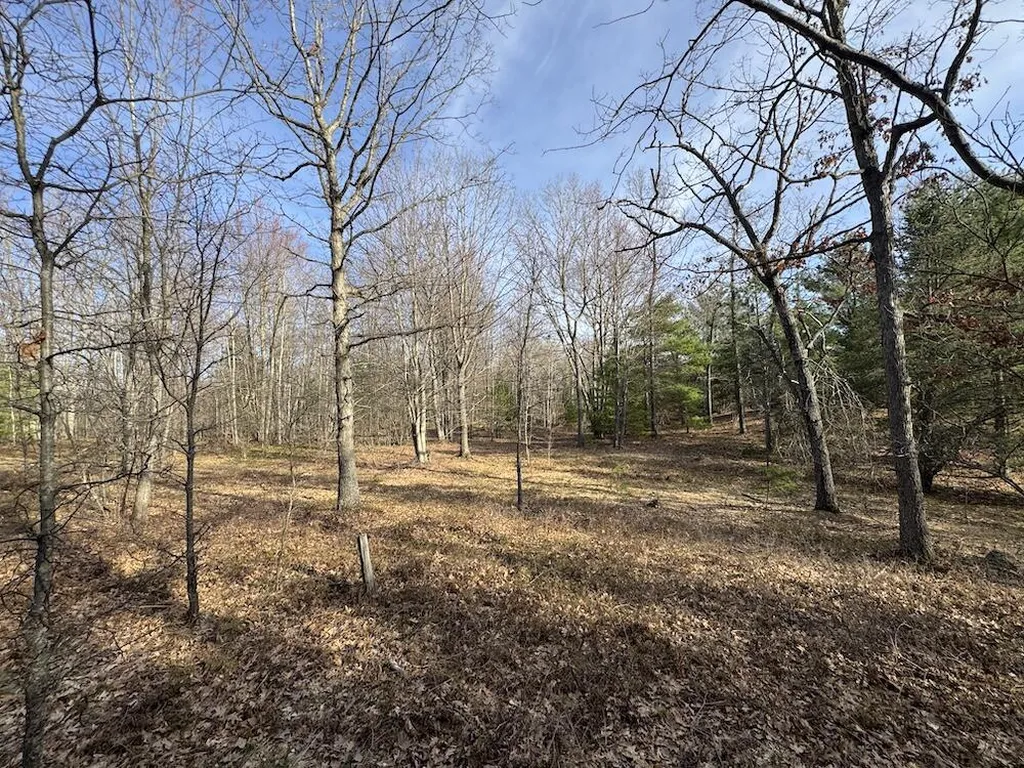 7584 Railroad Grade Nester Township MI 48624