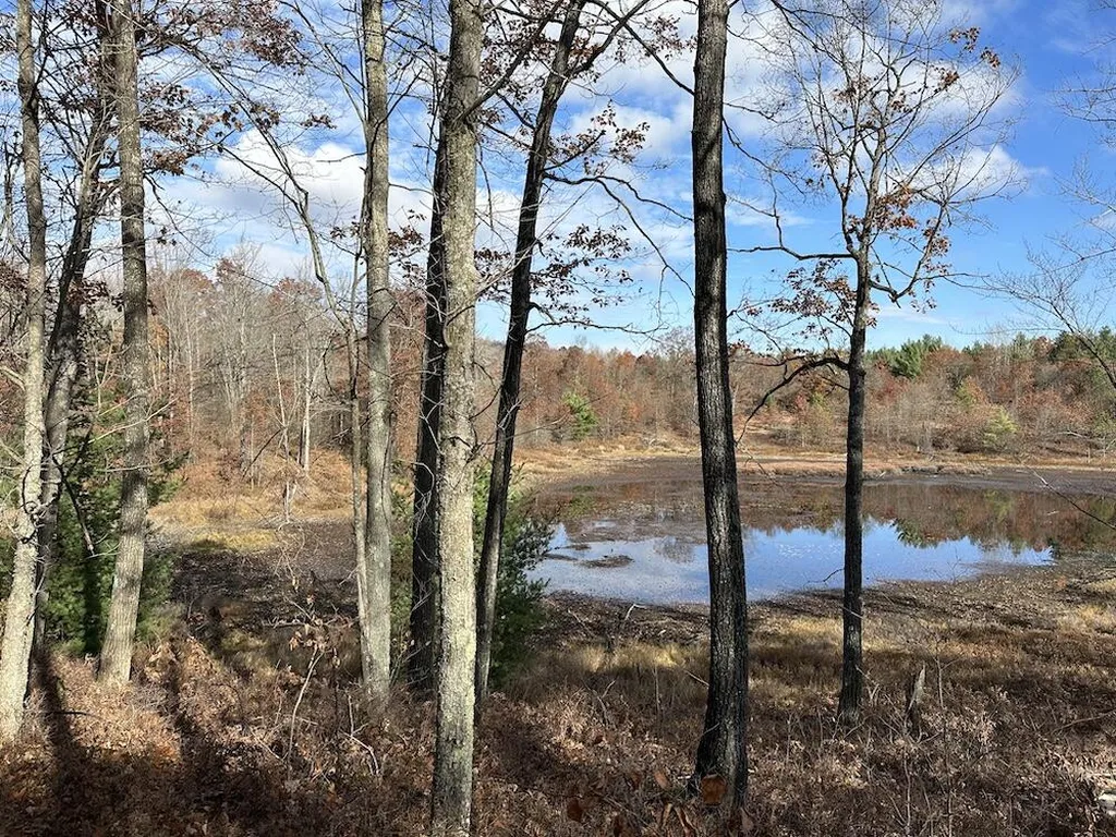 7584 Railroad Grade Nester Township MI 48624