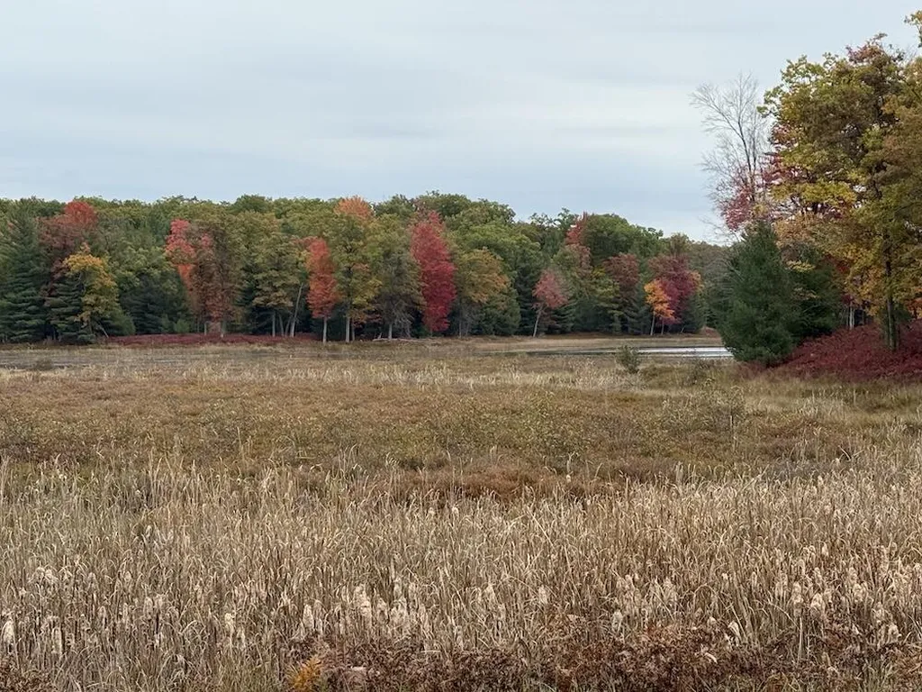 7584 Railroad Grade Nester Township MI 48624