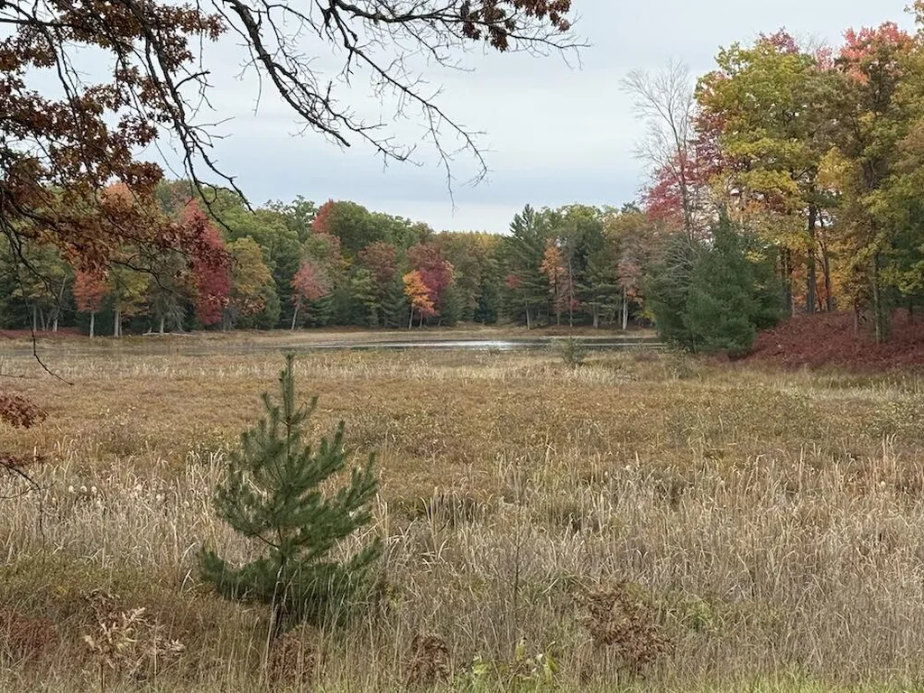 7584 Railroad Grade Nester Township MI 48624