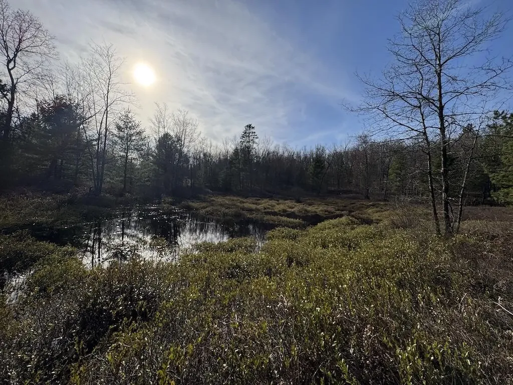 7584 Railroad Grade Nester Township MI 48624