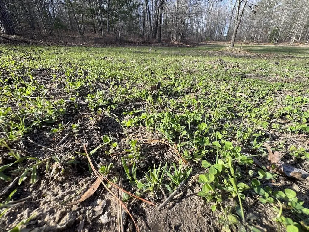 7584 Railroad Grade Nester Township MI 48624