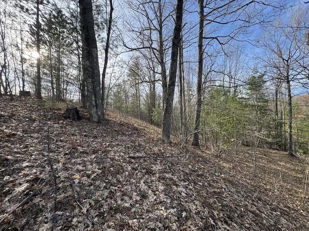 7584 Railroad Grade Nester Township MI 48624