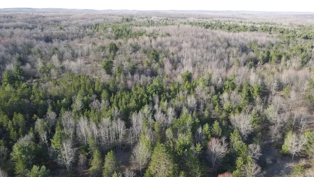 7584 Railroad Grade Nester Township MI 48624