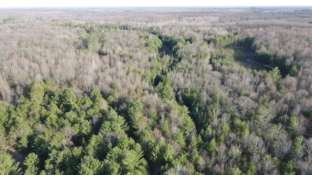 7584 Railroad Grade Nester Township MI 48624