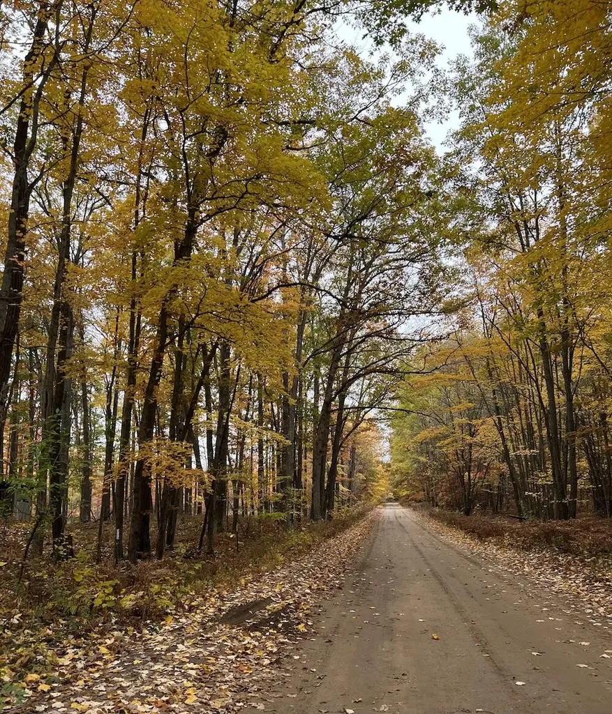 7584 Railroad Grade Nester Township MI 48624