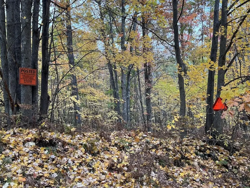 7584 Railroad Grade Nester Township MI 48624