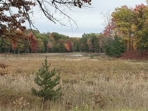 7584 Railroad Grade Nester Township MI 48624