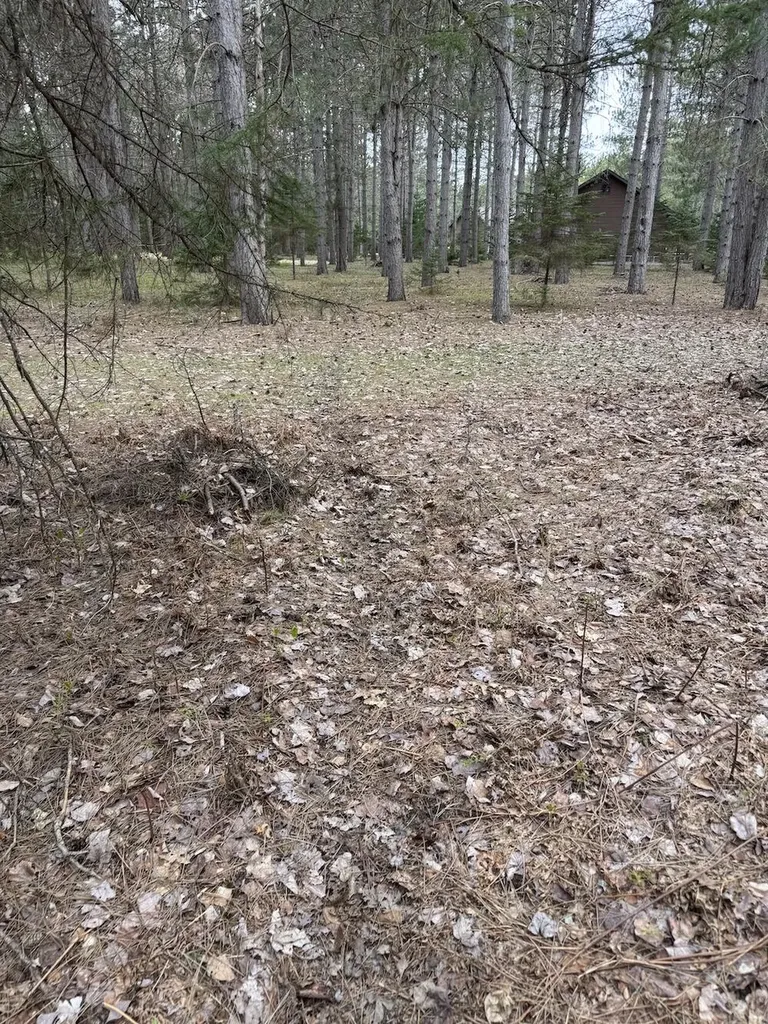 850 Jessica Lane Cumming Township MI 48654