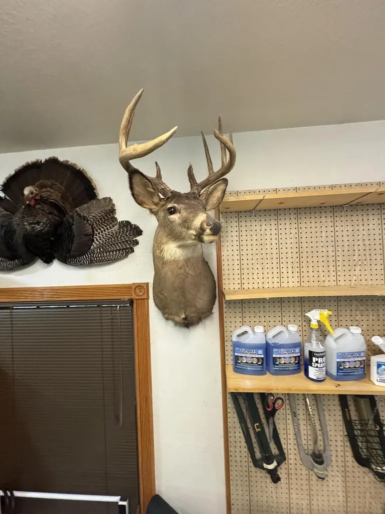 850 Jessica Lane Cumming Township MI 48654